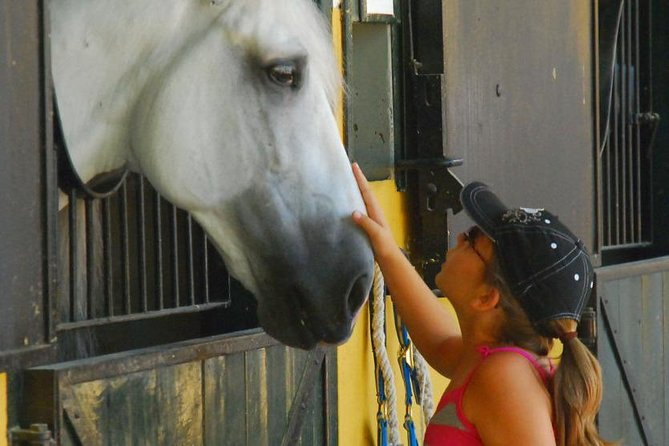 Carthusian Stud private – Yeguada de la Cartuja - Key highlights you should know before you go