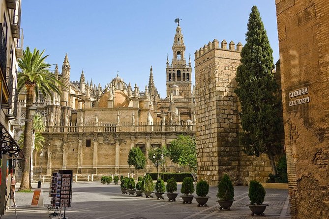 Cathedral of Seville English Guided Tour with Skip the Line & Access to Giralda - Where to meet, and how to avoid the most common stress