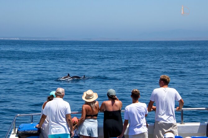 Cetacean Watching Tour - Key Things I’d Pay Attention To