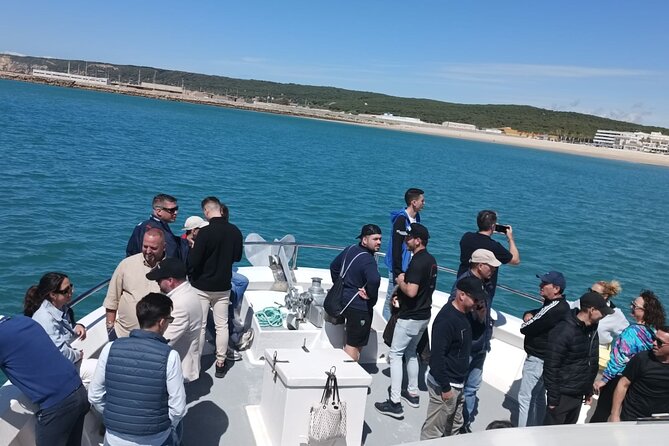 Cetacean Watching Tour - Barbate Marina to Trafalgar Waters: What the 3-Hour Format Really Means