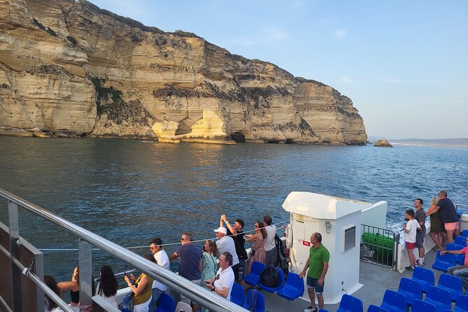 Cetacean Watching Tour - What’s Included, What’s Not, and What You Should Bring