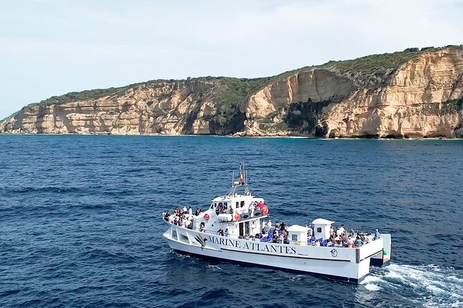 Cetacean Watching Tour - What You Actually Do During Cetacean Watching