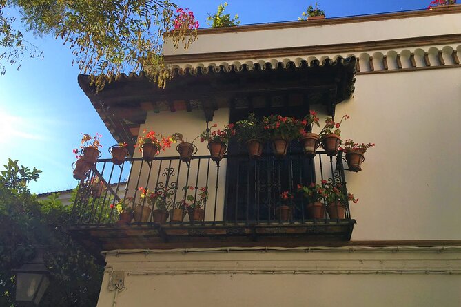 Classic Private Tour of Seville - Barrio Santa Cruz: history with room to breathe