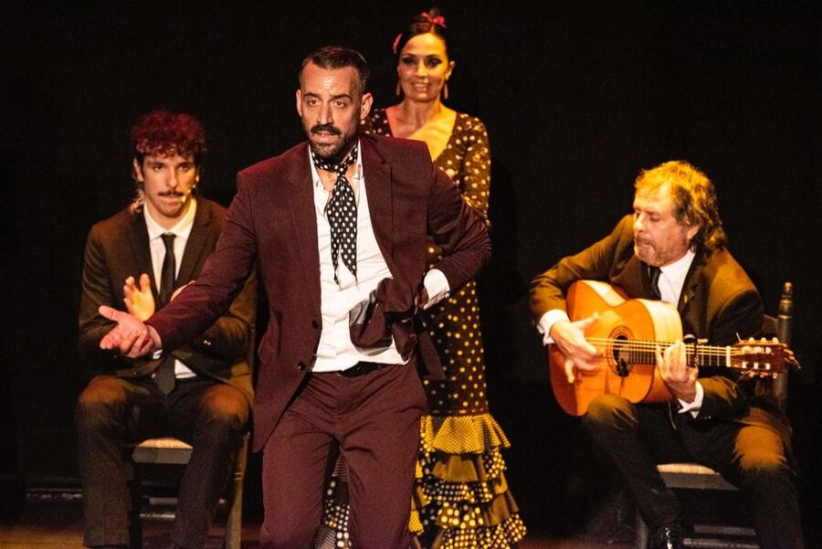 Combo: Hop on hop off + Flamenco Show & Walking tours - How This 1-Day Sevilla Combo Fits Together