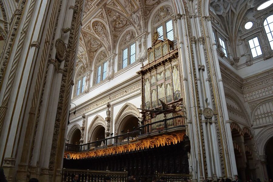 Cordoba: 3-Hour Private Tour - Setting off from Patio de los Naranjos, right where Cordoba begins
