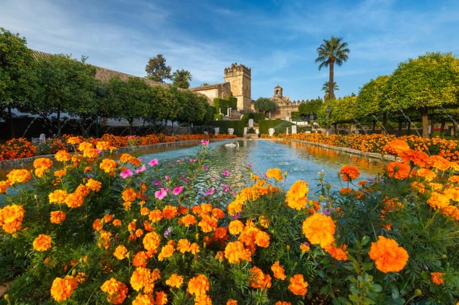 Cordoba: Alcazar of Christian Monarchs 1–Hour Guided Tour - Is $22 a Good Deal for One Hour at the Alcázar?