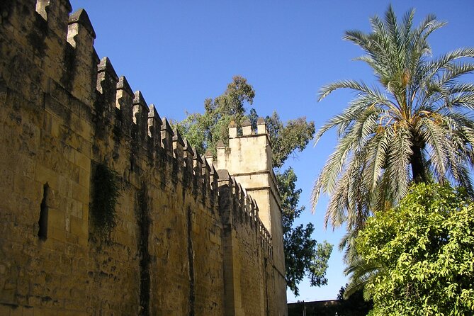 Córdoba: Alcazar Skip the Line Guided Tour - Your one-hour route: rooms, mosaics, then gardens