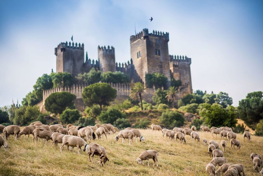 Córdoba: Almódovar Castle Entrance Ticket - Key points you will notice right away
