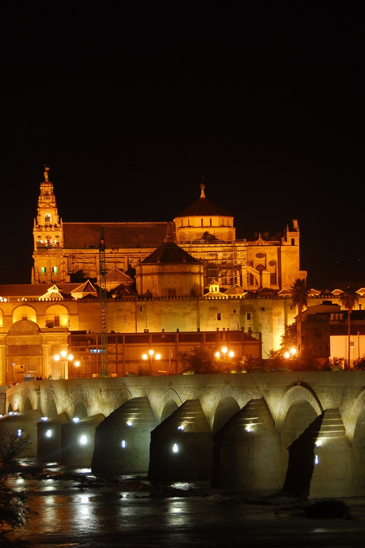 Cordoba at Night by Bike, Electric Bike - Choose Your Ride: Bike, Electric Bike, or Segway