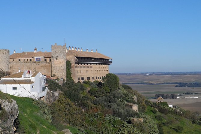Cordoba & Carmona with Mezquita, Synagoge & Patios from Seville - Roman Bridge and Calahorra Tower: Cordoba’s first impressions
