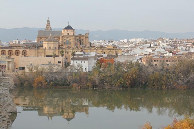 Cordoba & Carmona with Mezquita, Synagoge & Patios from Seville - Cordoba synagogue: Mudejar plasterwork and one rule to know