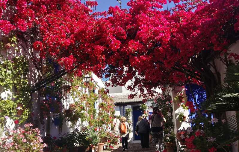 Cordoba Courtyards by Bike, Electric Bike - Key things I’d circle on your plan