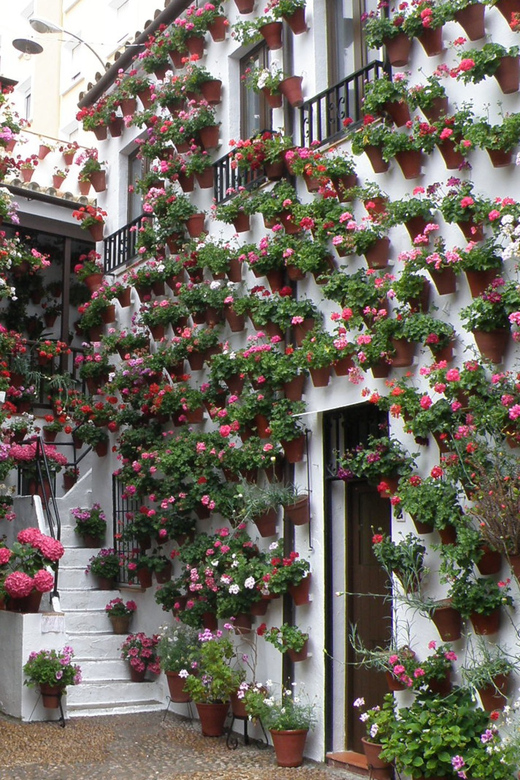Cordoba Courtyards by Bike, Electric Bike - Starting at Elektrik Bikes on Calle Maria Cristina 5