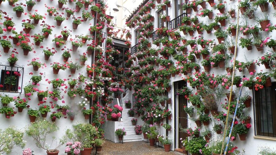 Cordoba Courtyards by Bike, Electric Bike - Price and Time: Is $45 Good Value for a 1.5 to 2 Hour Tour?