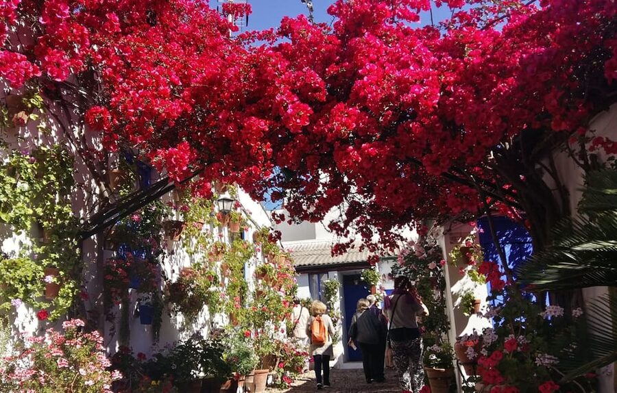 Cordoba Courtyards by Bike, Electric Bike - Practical Tips to Make Your Courtyard Stops Feel Effortless