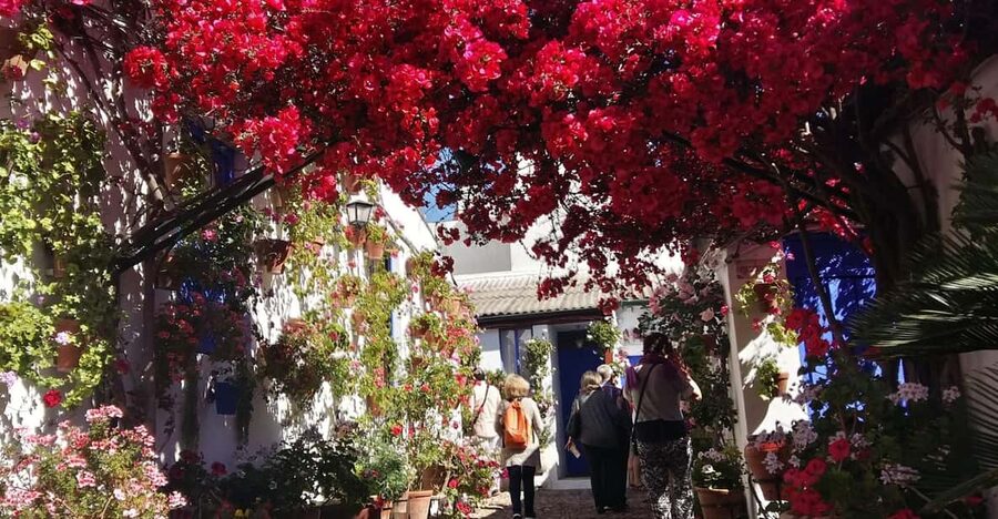 Cordoba Courtyards by Bike, Electric Bike - Your Ride Setup: Normal Bike vs Electric Assist
