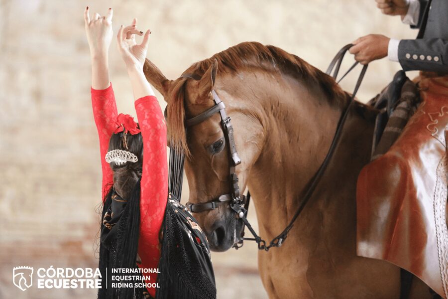 Cordoba: Equestrian Show General Entry - The arena experience: seats, entry flow, and what not to do