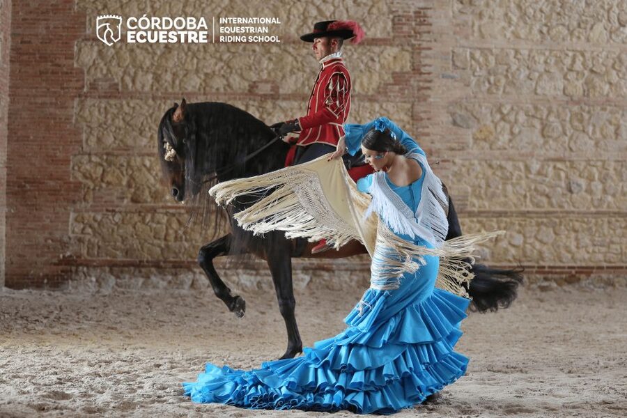 Cordoba: Equestrian Show General Entry - Before the show: audioguide app and early access timing