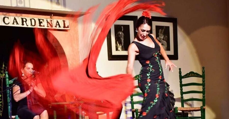 Córdoba: Flamenco Show Ticket with Drinks - Key things I think you should notice