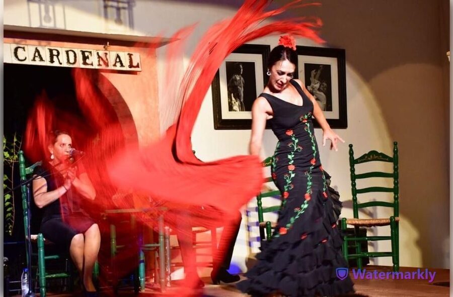 Córdoba: Flamenco Show Ticket with Drinks - Tablao Flamenco El Cardenal, in the heart of old Córdoba