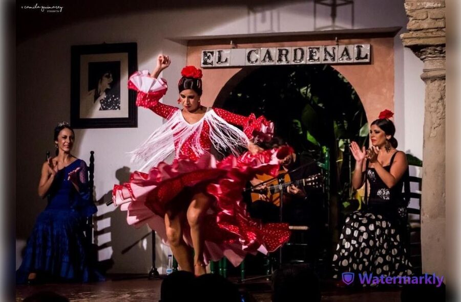 Córdoba: Flamenco Show Ticket with Drinks - How much value is $29 for 7 artists plus drinks?