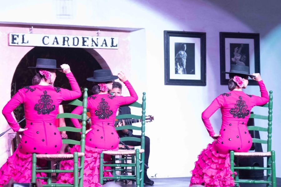 Córdoba: Flamenco Show Ticket with Drinks - Who this flamenco show is best for