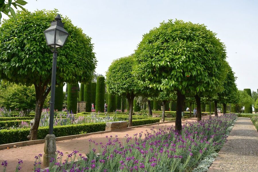 Cordóba: Gardens & Fortress of Catholic Monarchs Guided Tour - Should you book this Córdoba guided tour?
