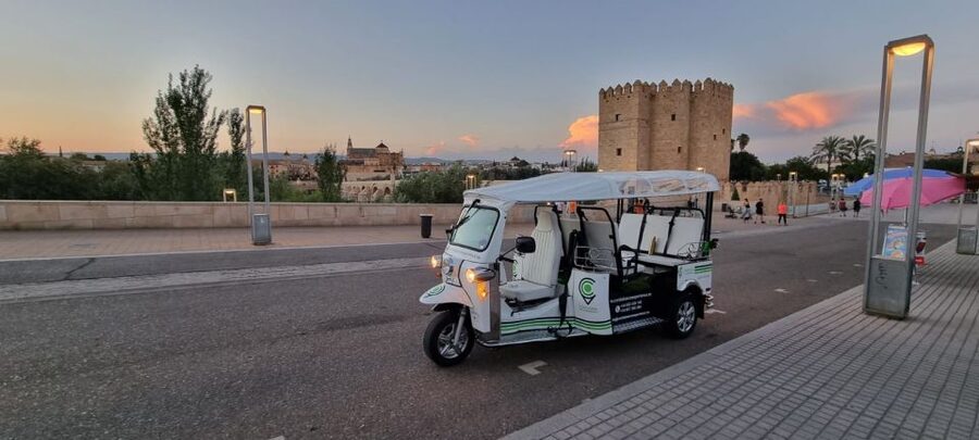 Córdoba: Guided City Tour by Tuk-Tuk - The Roman Bridge photo stop that actually delivers