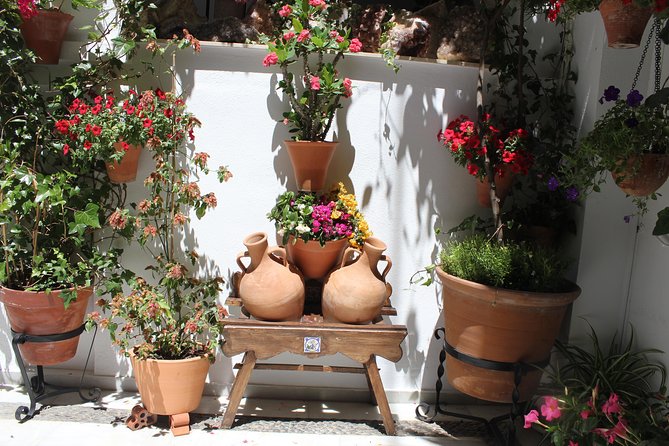 Cordoba Guided Tour Mosque and Cathedral from Seville - Free time for shopping and sightseeing: use it well