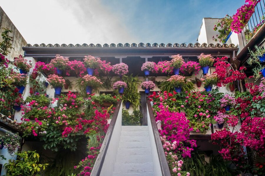 Córdoba: Guided Tour of the Patios - Key highlights worth your time