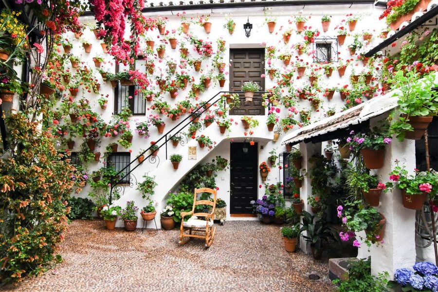 Córdoba: Guided Tour of the Patios - Inside the patios: what you learn from each courtyard stop