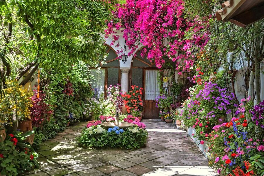 Córdoba: Guided Tour of the Patios - Who should book this Córdoba patios guided tour