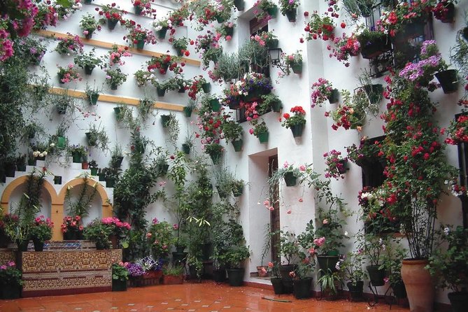 Cordoba Highlights: Guided Day Tour from Seville - The 1.5-Hour Guided Walk Versus Your Own Time in Córdoba