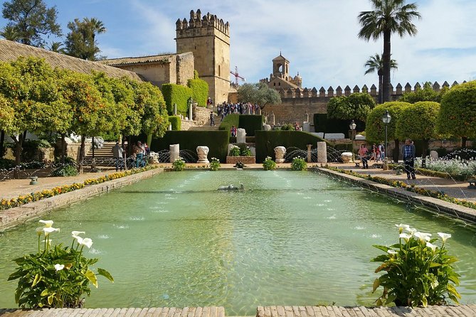 Cordoba Highlights: Guided Day Tour from Seville - Timing, Heat, and What to Wear for a Low-Difficulty Day