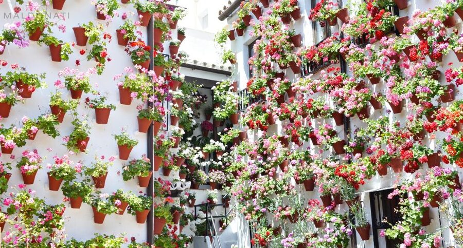 Córdoba Highlights Walking Tour - Why this 2-hour Córdoba walk works so well