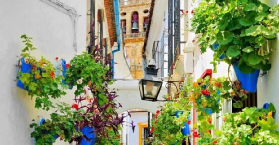Cordoba: Historical Monuments of Cordoba City Walking Tour - Where this tour starts: finding your guide and getting your bearings