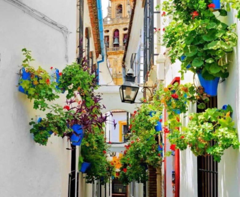 Cordoba: Historical Monuments of Cordoba City Walking Tour - Alcázar de los Reyes Cristianos: the residence, the secrets, the views