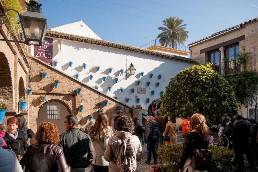 Cordoba: Jewish Quarter and Mosque-Cathedral Guided Tour - Value for $45: What You’re Paying For