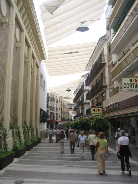 Córdoba Mid-Morning Walk - Small Groups, Native English. - Patios de San Basilio and the outside-looking-in approach
