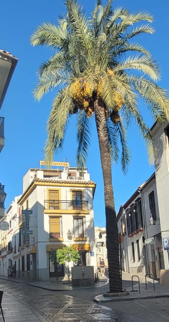 Córdoba Mid-Morning Walk - Small Groups, Native English. - English guide clarity that keeps you from missing the story