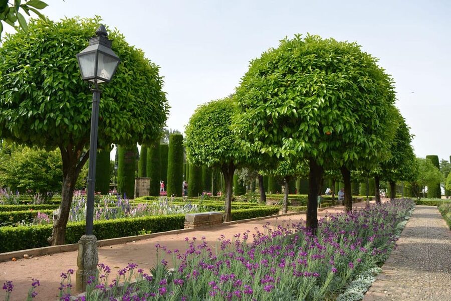 Cordoba: Monuments Walking Tour - After the tour: tap into your guide’s restaurant suggestions