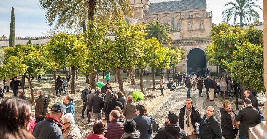Cordoba: Monuments Walking Tour - Judería de Córdoba and the Córdoba Synagogue: history you can picture