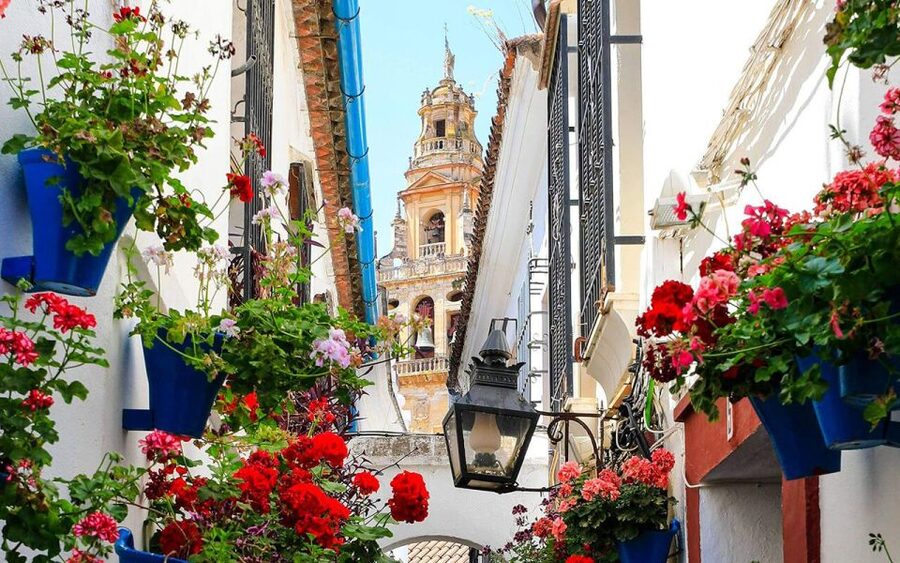 Córdoba: Mosque and Alcazar Private Tour with tickets - Mosque-Cathedral: what to notice when the building is doing a lot