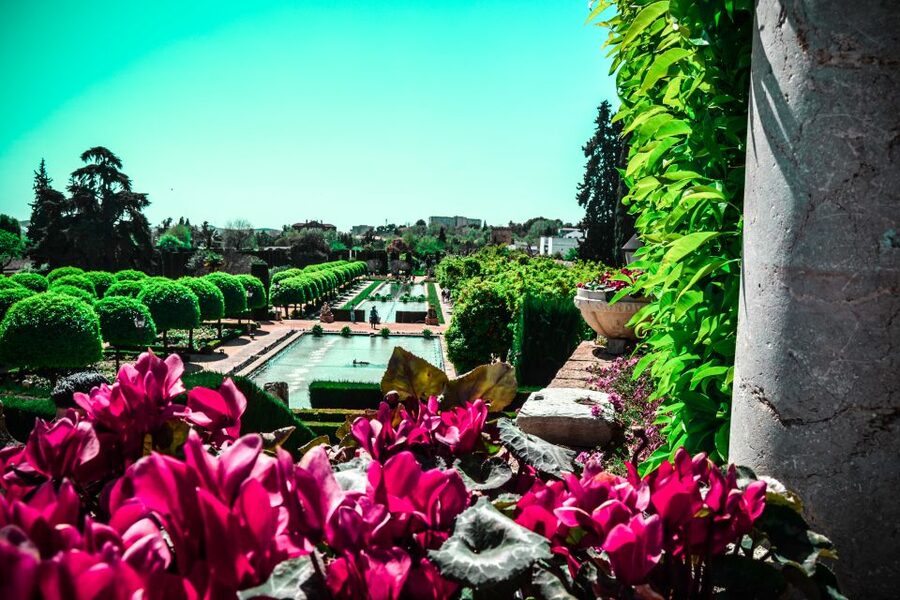 Córdoba: Mosque-Cathedral and Alcazar Tour - Price and value: is $52 per person actually fair?