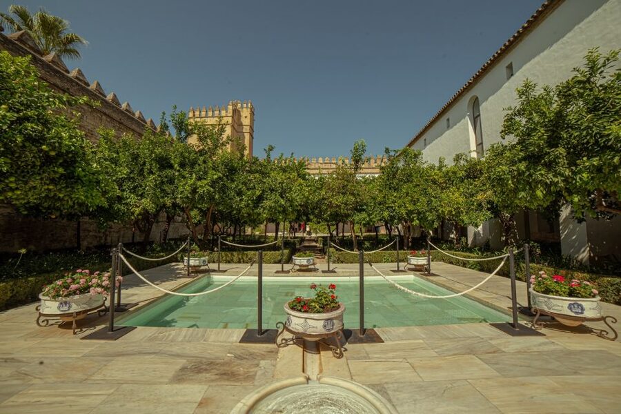 Córdoba: Mosque-Cathedral and Alcazar Tour - Logistics you should plan for before you go