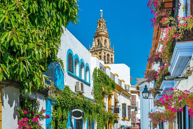 Cordoba Mosque-Cathedral & City Private Tour - Who should book this private Cordoba tour