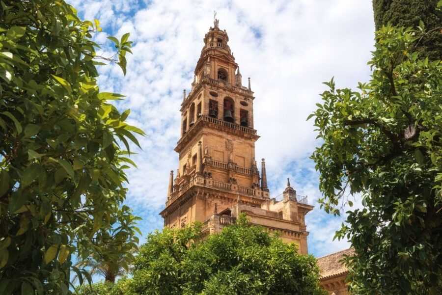 Córdoba Mosque, Jewish Quarter and Alcázar 3-Hour Tour - Price and Value: What $55 Buys in Time Saved and Clarity