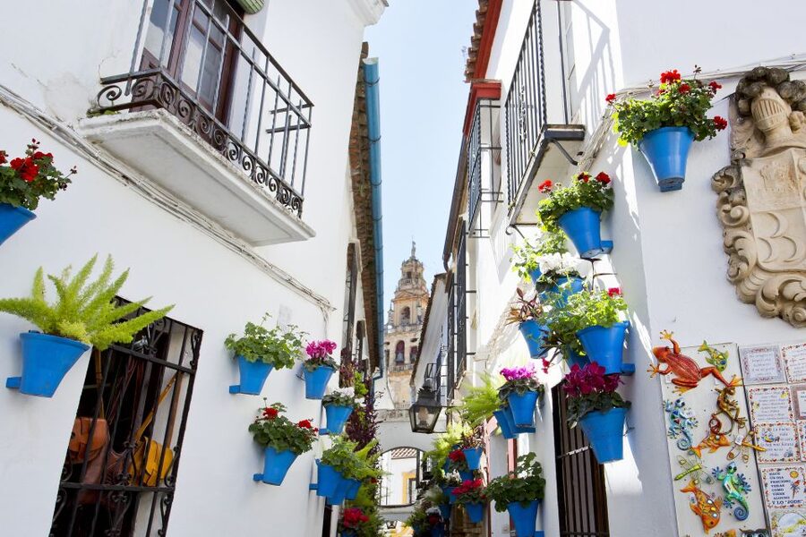 Cordoba Mosque & Jewish Quarter Tour with Tickets - Mosque-Cathedral time travel, without the planning stress
