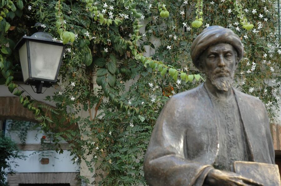 Cordoba Mosque & Jewish Quarter Tour with Tickets - Should you book this Mosque-Cathedral and Jewish Quarter tour?