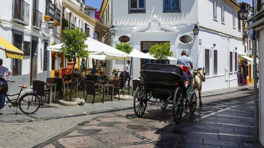 Córdoba: Mosque, Synagogue, and Jewish Quarter Walking Tour - Who should book this Córdoba tour, and who should skip it